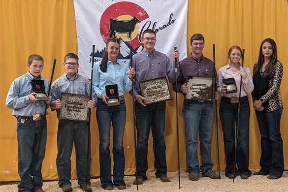 Showmanship Winners